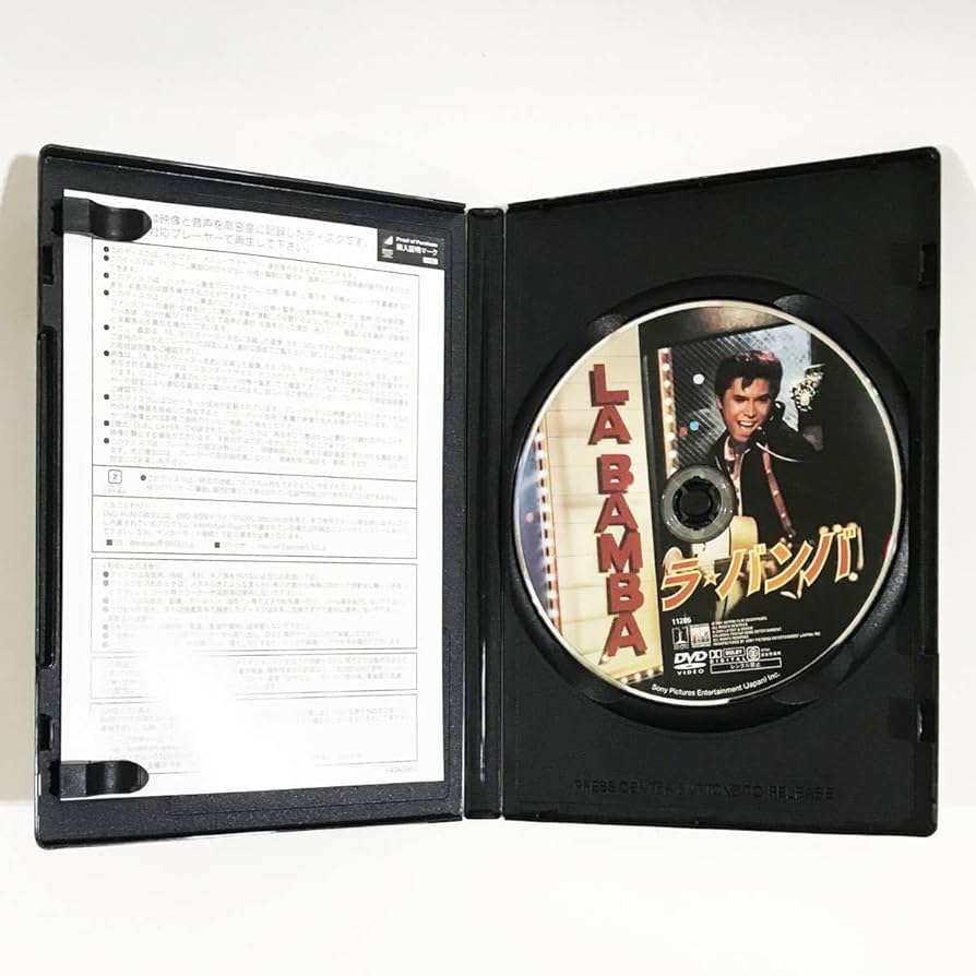 ブライアン・セッツァー ＶＨＳビデオ 2025年最新】Yahoo!オークション -ストレイキャッツ(ビデオ)の